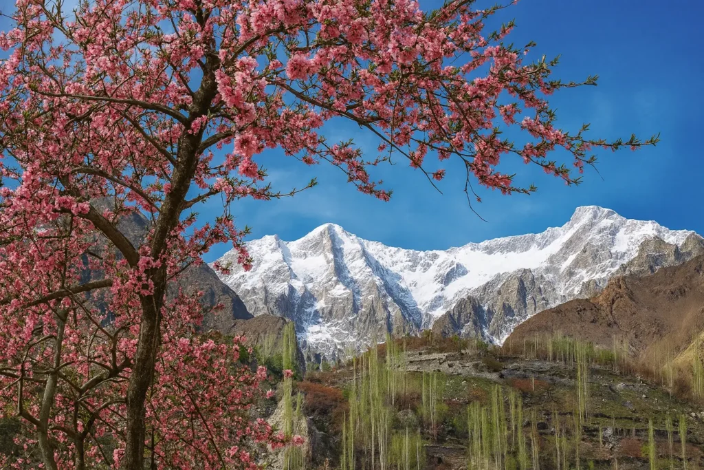 Spring Tour – Hunza Valley
