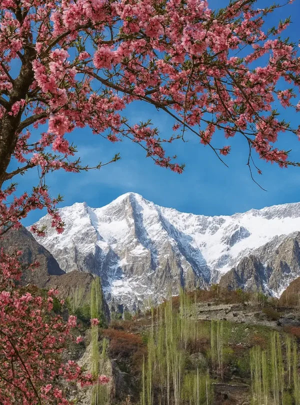 Spring Tour – Fairy Meadows & Hunza Valley