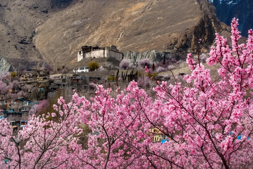Spring Tour – Hunza Valley