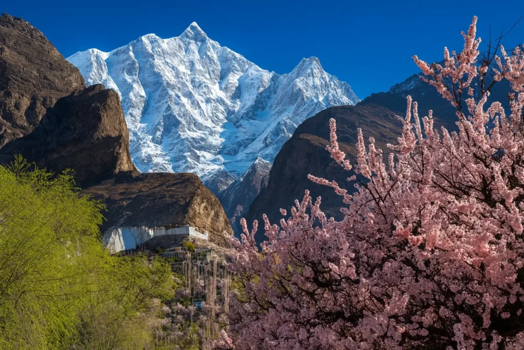 Spring Tour – Fairy Meadows & Hunza Valley