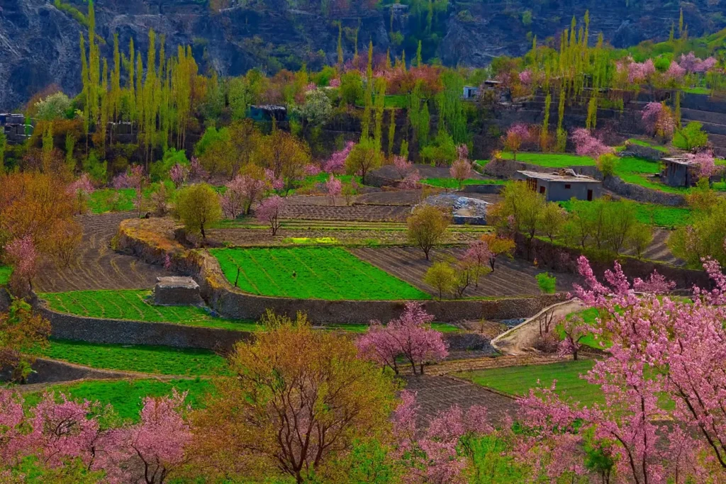 Spring Tour – Phander & Hunza Valley