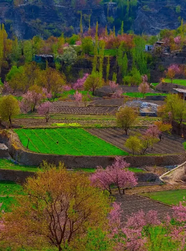 Spring Tour – Phander & Hunza Valley