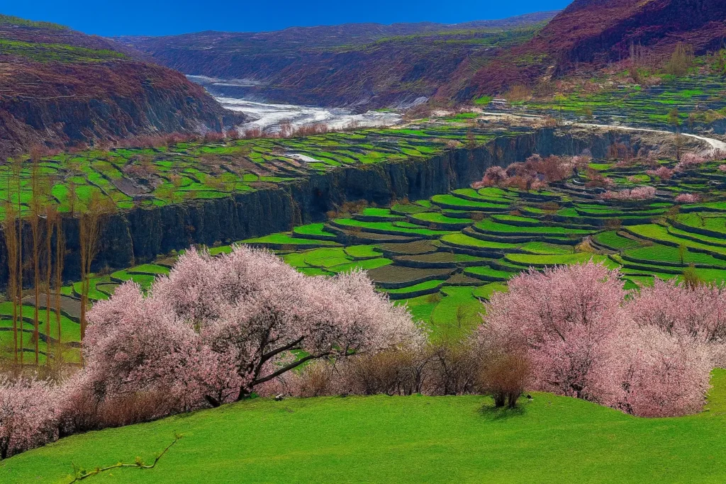 Spring Tour – Phander & Hunza Valley