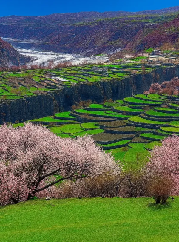 Spring Tour – Phander & Hunza Valley