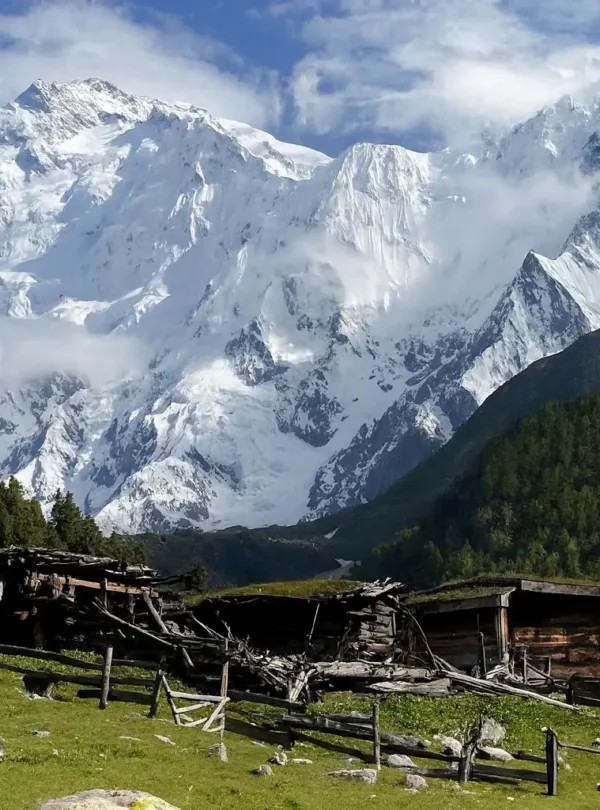 Autumn Tour – Fairy Meadows & Hunza Valley