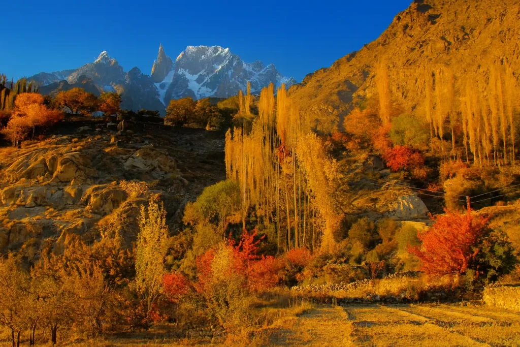 Autumn Tour – Fairy Meadows & Hunza Valley