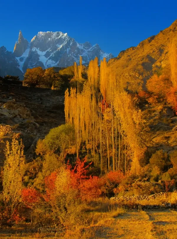 Autumn Tour – Fairy Meadows & Hunza Valley