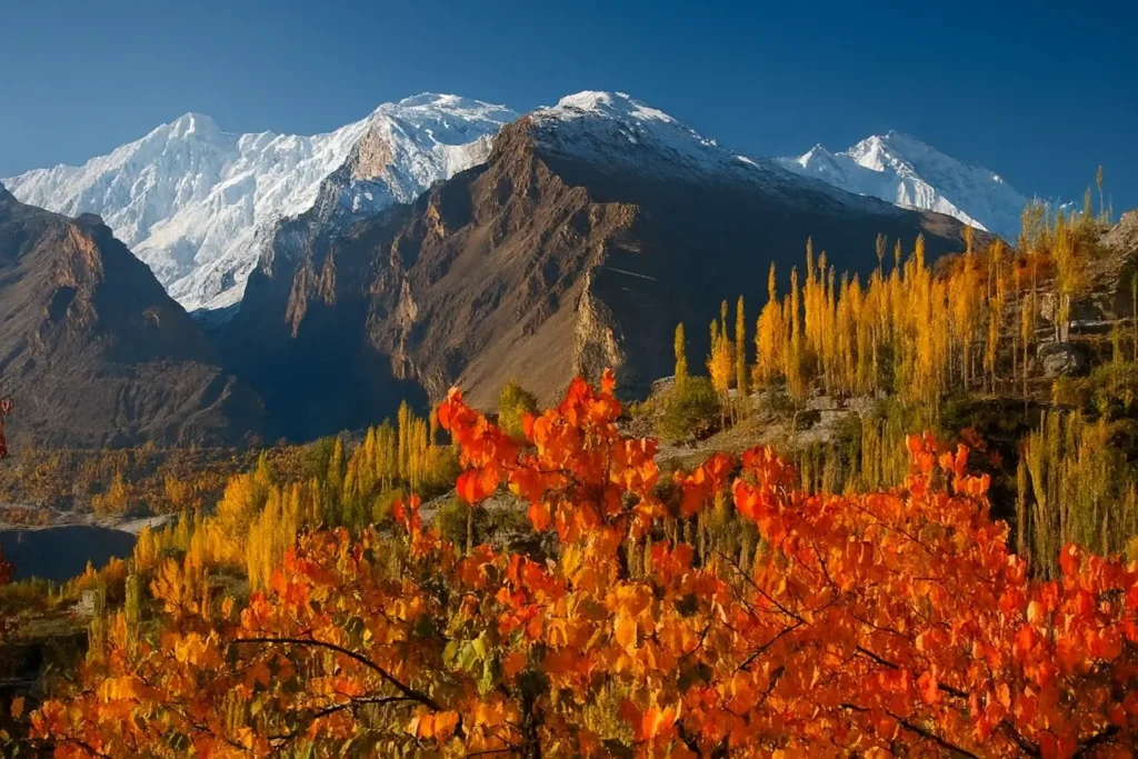 Autumn Tour – Fairy Meadows & Hunza Valley