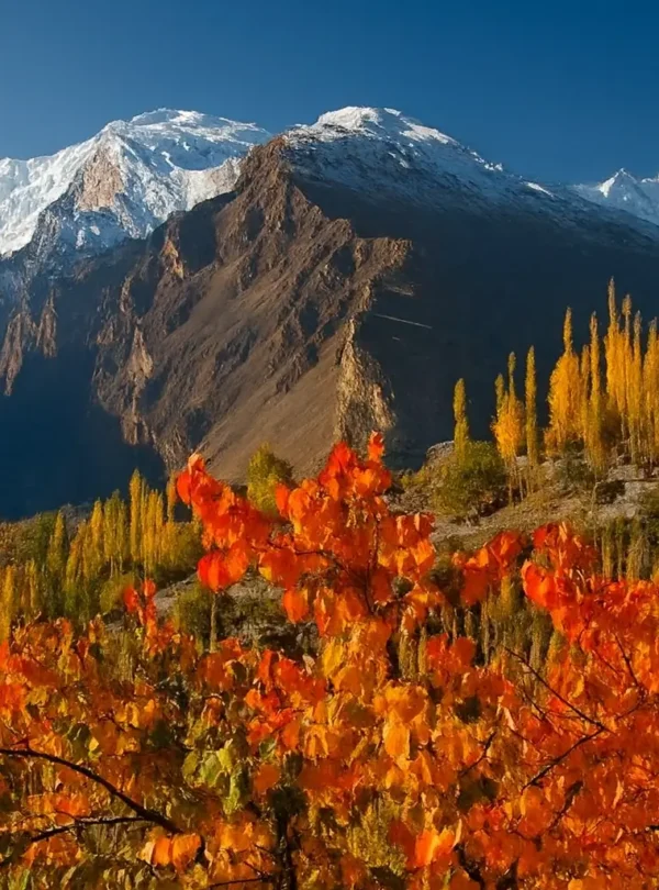 Autumn Tour – Fairy Meadows & Hunza Valley