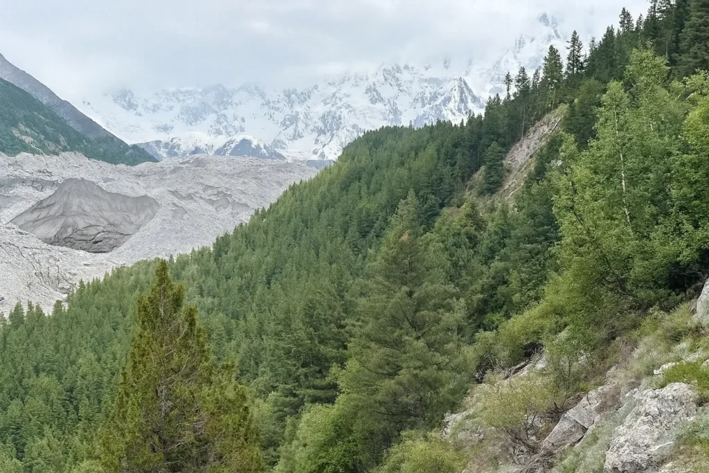 Fairy Meadows & Nanga Parbat