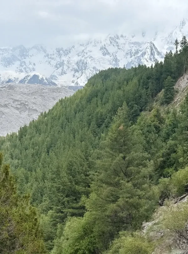 Fairy Meadows & Nanga Parbat