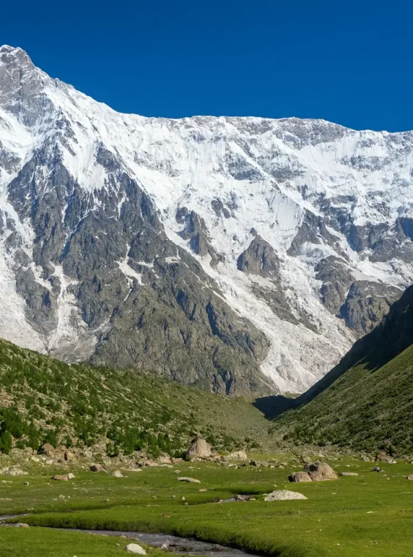 Nanga parbat Rupal face trek
