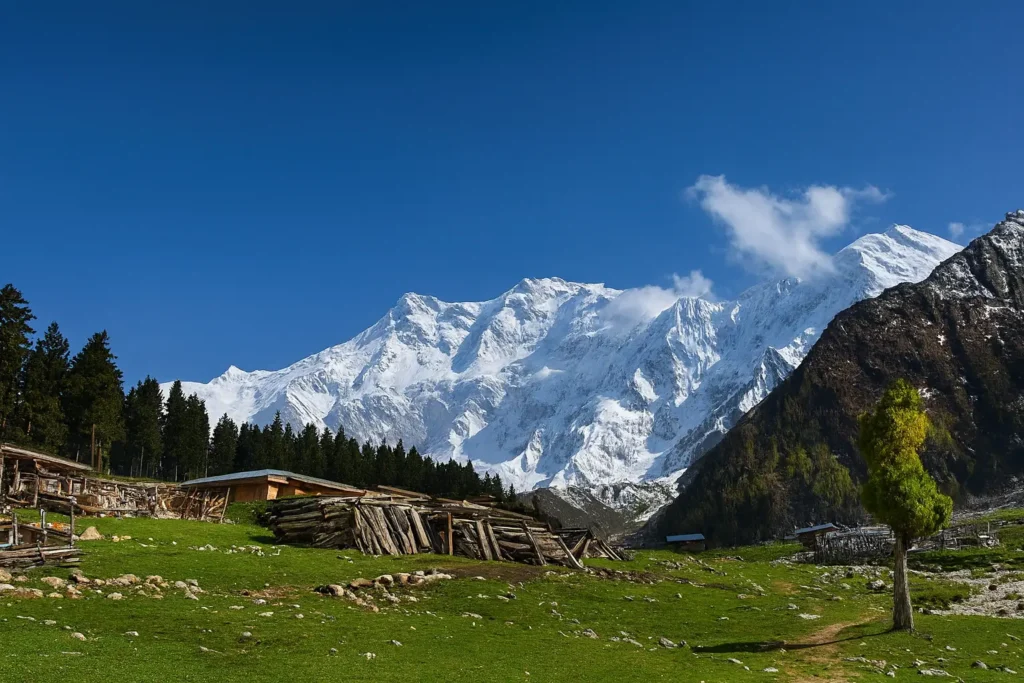 Nanga parbat Rupal face trek