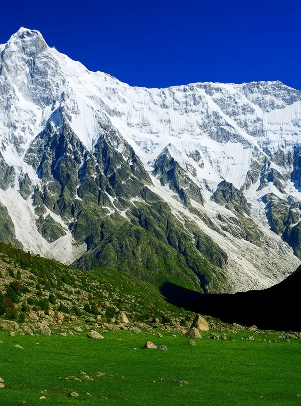 Nanga parbat Rupal face trek