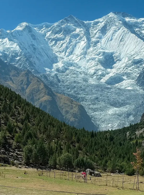 Rakaposhi Base Camp